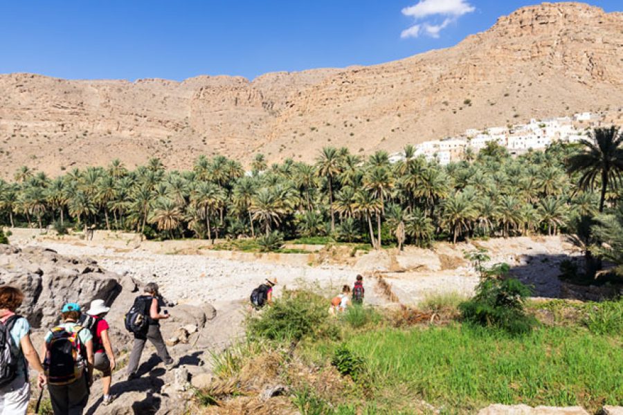 A Wadi Walk